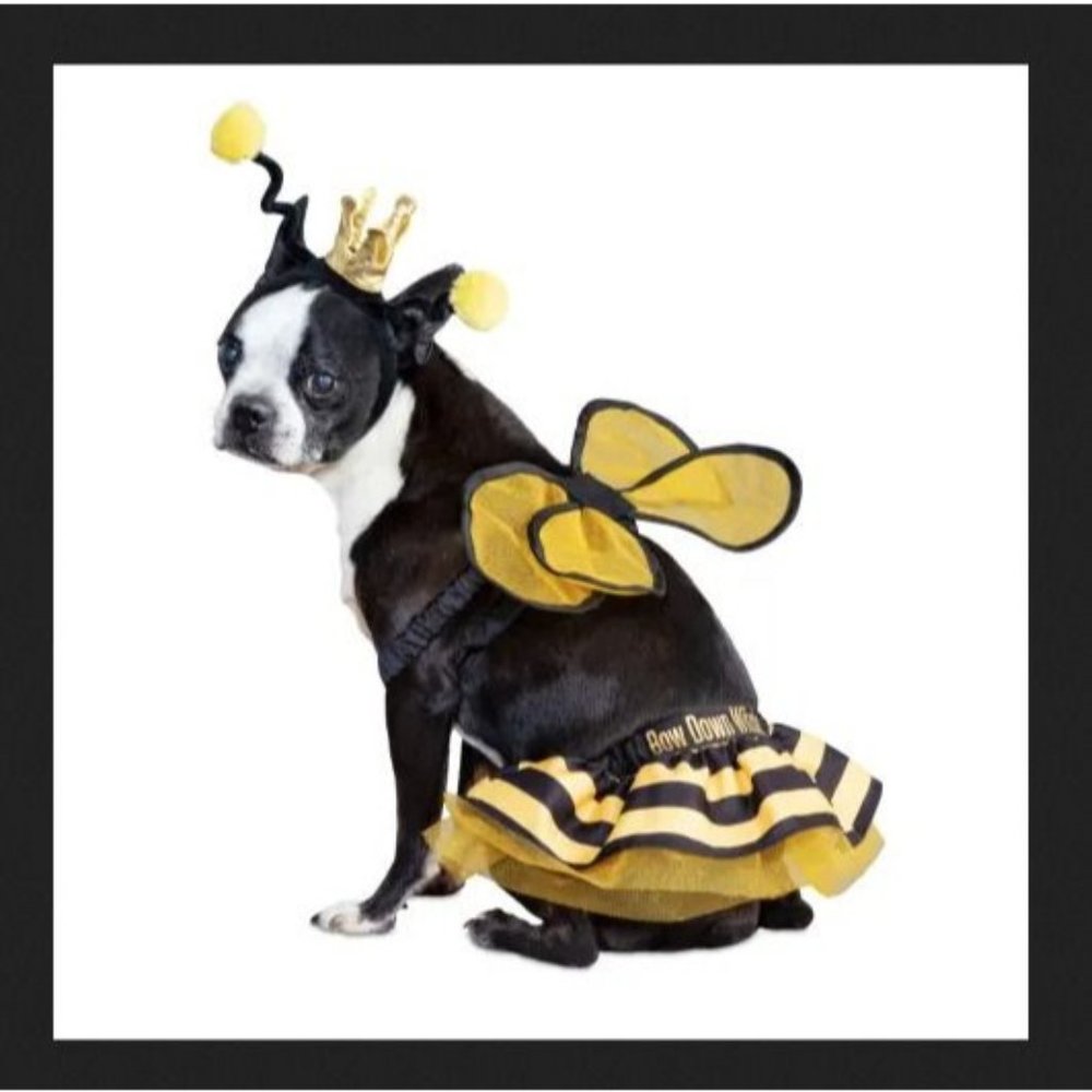 Bootique Pet Costume - Bee Royalty - XS - Extra Small - New